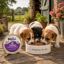 Honden voeding maaltijd Turkey voor honden 85g