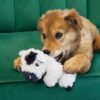 Honden speelgoed Kong Kong comfort tykes koe