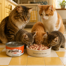 Katten voeding maaltijden Devini Chicken with Beef  70 Gram  kitten & volwassen & senior