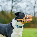 Muilkorf honden Company of animals muilkorf baskerville classic