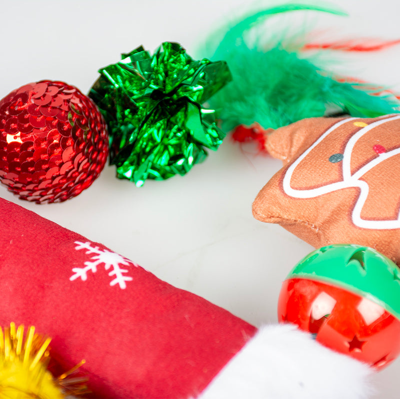 kattenspeelgoed kerst zak gevuld met 10 speeltjes