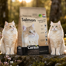 kattenvoeding kattenbrokjes Carnis Classic Zalm