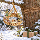 Vogelvoeders Buitenvogels Voederplatform met pindanet, mezenbol en vetring.