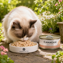 Canagan voeding  Kitten en volwassen katten blik Kip & Krab 75 Gram