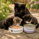 Canagan voeding Kitten en volwassen katten blik Kip & Eend 75 Gram
