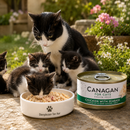 Canagan voeding Kitten en volwassen katten blik Kip & zeebaars 75 Gram
