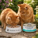 Canagan voeding Kitten en volwassen katten blik Kip & sardine 75 Gram