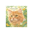 Kalender 27 Franciens