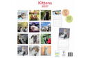Kalender 27 Kittens
