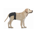 Loopheids broekjes Honden Vetlando Luier Voor Teven Zwart - Hondenzindelijks training