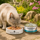 Canagan voeding Kitten en volwassen katten blik Tonijn & Mosselen 75 Gram