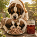 Honden voeding Canagan British Beef