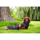 Hondentrui Honden kleding BZ HONDENTRUI CELIA ZWART