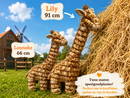 Honden speelgoed Hondenknuffels Quapas! Giraffe – de zussen Lonneke 66 cm  Lily 91 cm