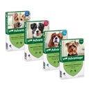 Vlooien middel  Advantage Honden