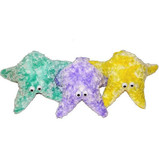 Gor Reef Star Fish