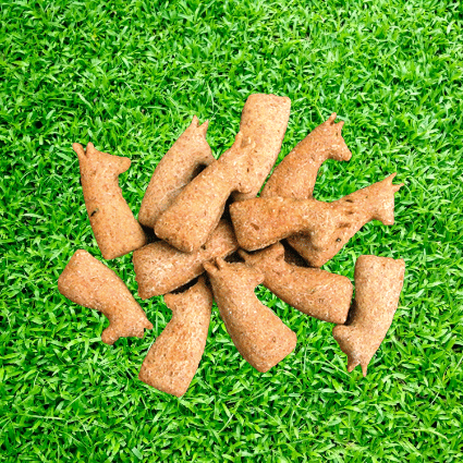 Naturavetal Canis Plus® Rundvlees-Pastinaak Biscuits - 200g