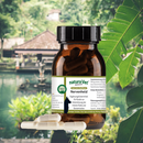 Naturavetal Canis Extra Innerlijke rust & Concentratie - 60 Capsules