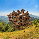 Canis Plus® Paardenlongblokjes 150g