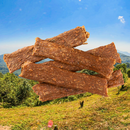 Canis Plus® Gedroogde vleesrepen Eend 100g