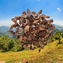 Canis Plus® Lamslong Mini-Snacks 200g