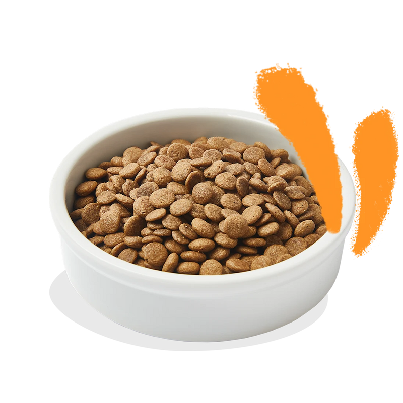 Edgard & Cooper Cat Adult Chicken