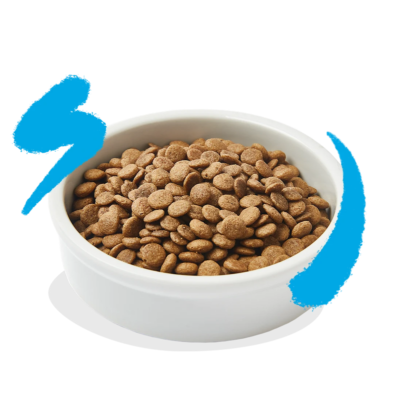 Edgard & Cooper Cat Adult Atlantic Salmon