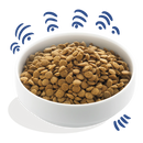 Hondenvoeding honden brokken  Edgard & Cooper Dog Adult Norwegian Salmon