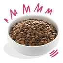 Hondenvoeding honden brokken  Edgard & Cooper Dog Adult Venison & Free-Run Duck