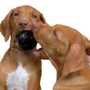 Kong hond Extreme rubber Ballen zwart