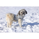 Hondentrui Honden kleding BZ HONDENTRUI CELIA GRIJS