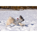 Hondentrui Honden kleding BZ HONDENTRUI CELIA GRIJS