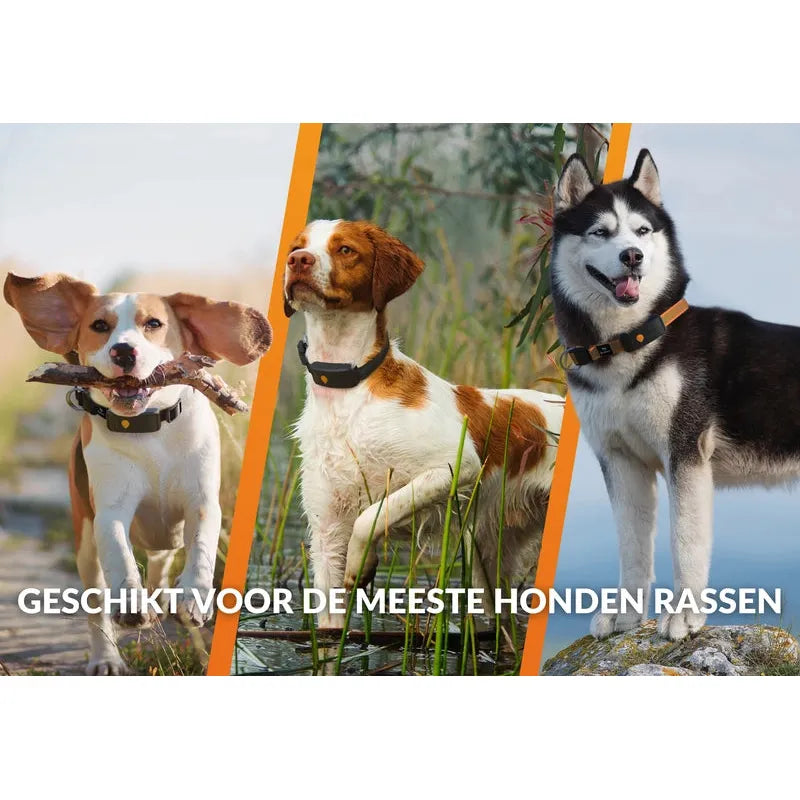 Honden/katten halsbanden GPS tracker voor Honden - Weenect XT Met Julius halsband Zwart
