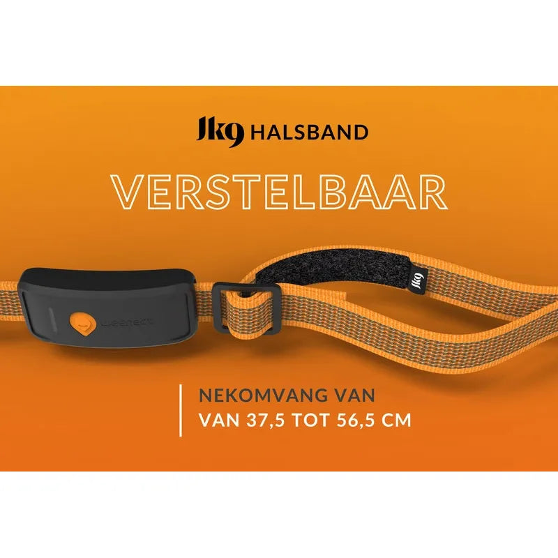 Honden/katten halsbanden GPS tracker voor Honden - Weenect XT Met Julius halsband Zwart