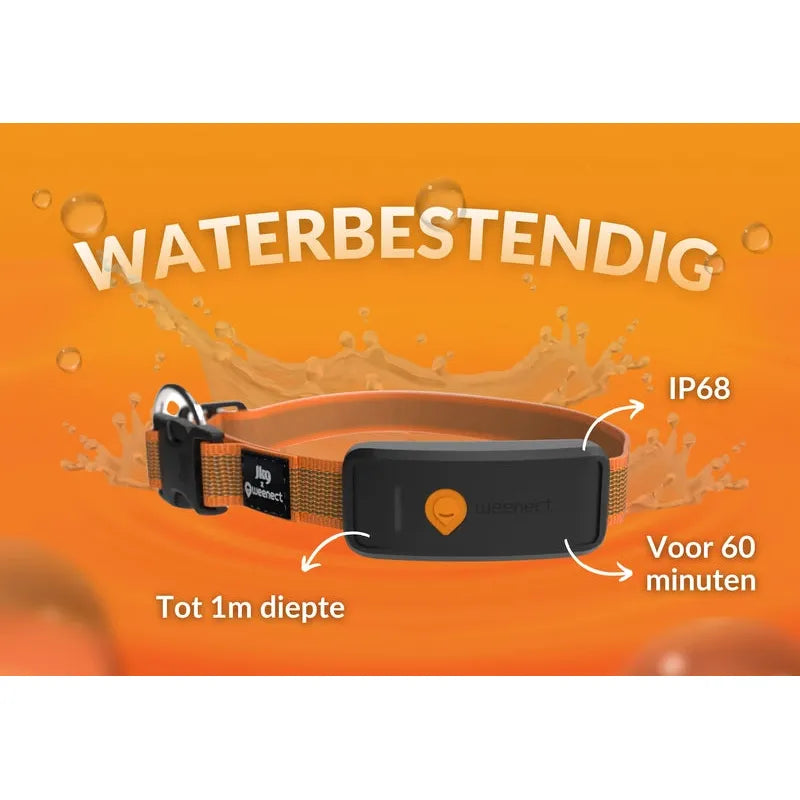 Honden/katten halsbanden GPS tracker voor Honden - Weenect XT Met Julius halsband Zwart