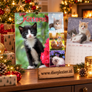 Kalender 27 Kittens