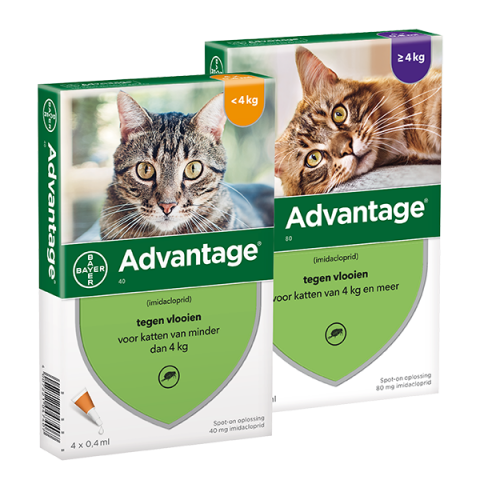 Vlooien middelen Advantage Katten