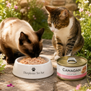 Canagan voeding Kitten en volwassen katten blik Kip & Ham 75 Gram