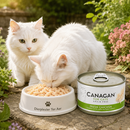 Canagan voeding Kitten en volwassen katten blik Verse Kip  75 Gram