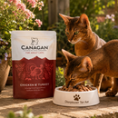 Canagan voeding Pouches maaltijden volwassen katten Kip & kalkoen