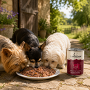 Honden voeding Canagan Coutry Game