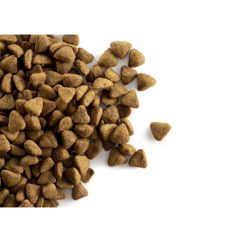 Caracroc Indoor