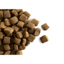 CaroCroc Energy 25/16