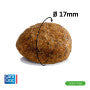 Hondenvoeding hondenbrokken  Grain Free