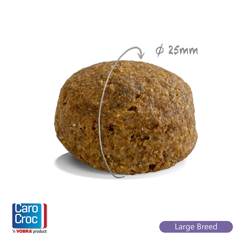 CaroCroc Large Breed 27/16