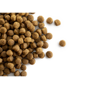 CaroCroc Puppy large 25/17