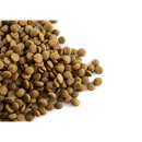 CaroCroc Kat Senior 25/12