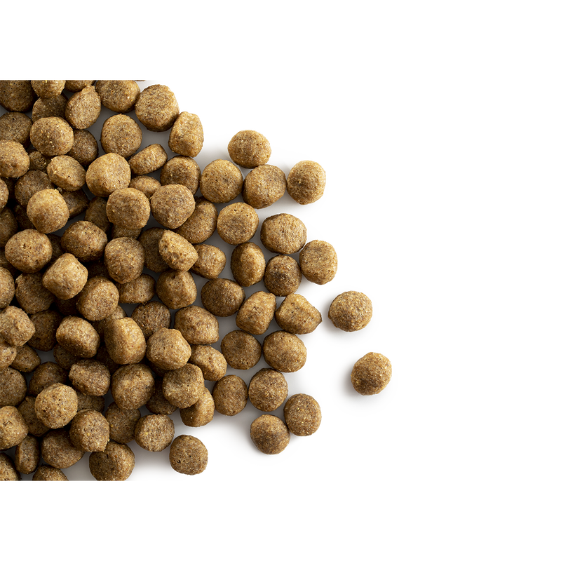 CaroCroc Grain Free