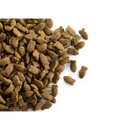 CaroCroc With Fish 31/18