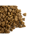 CaroCroc With Lamb 31/18